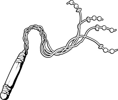 Fig 1. A flagrum, or flagellum.